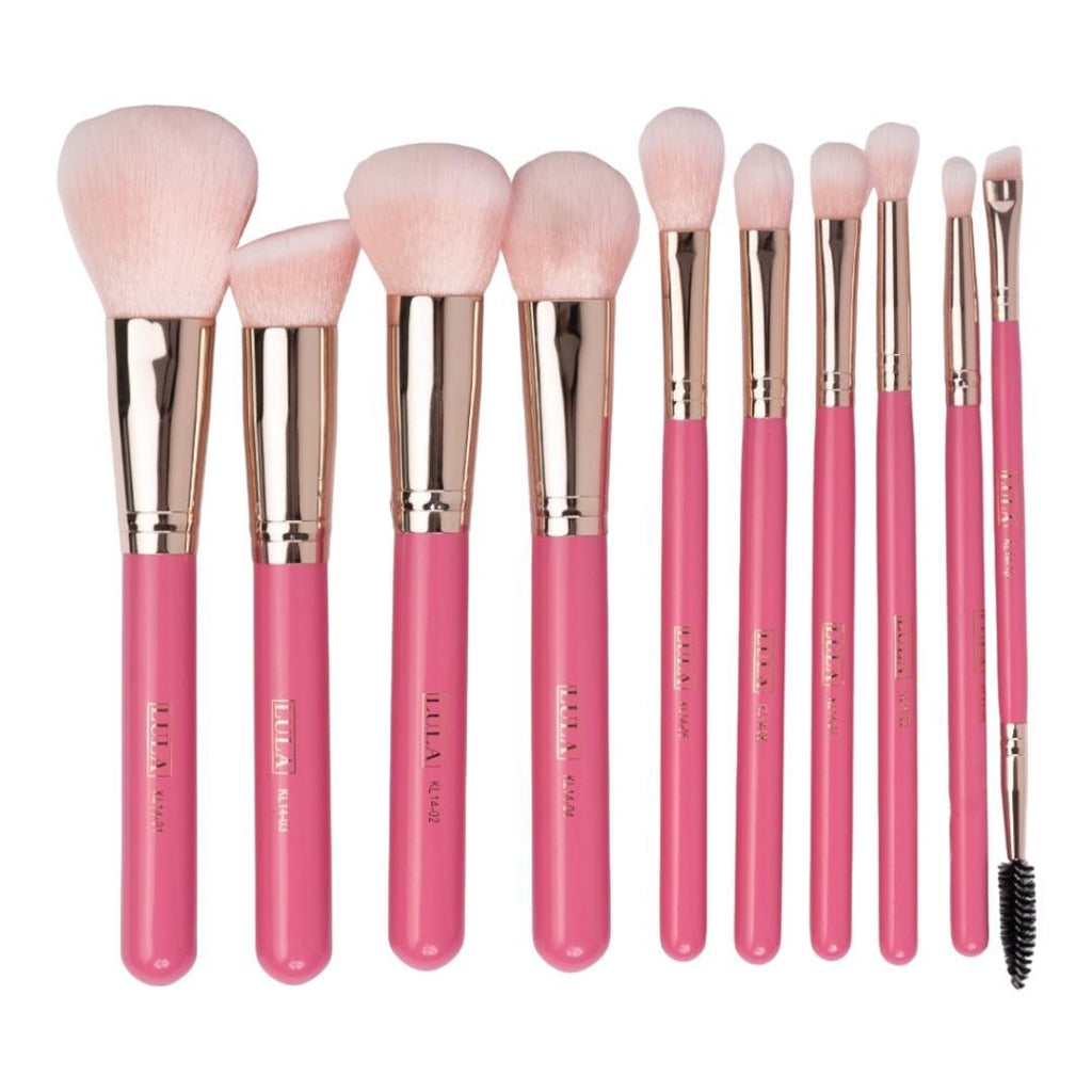 Kit de Brochas x 10 Und Lula