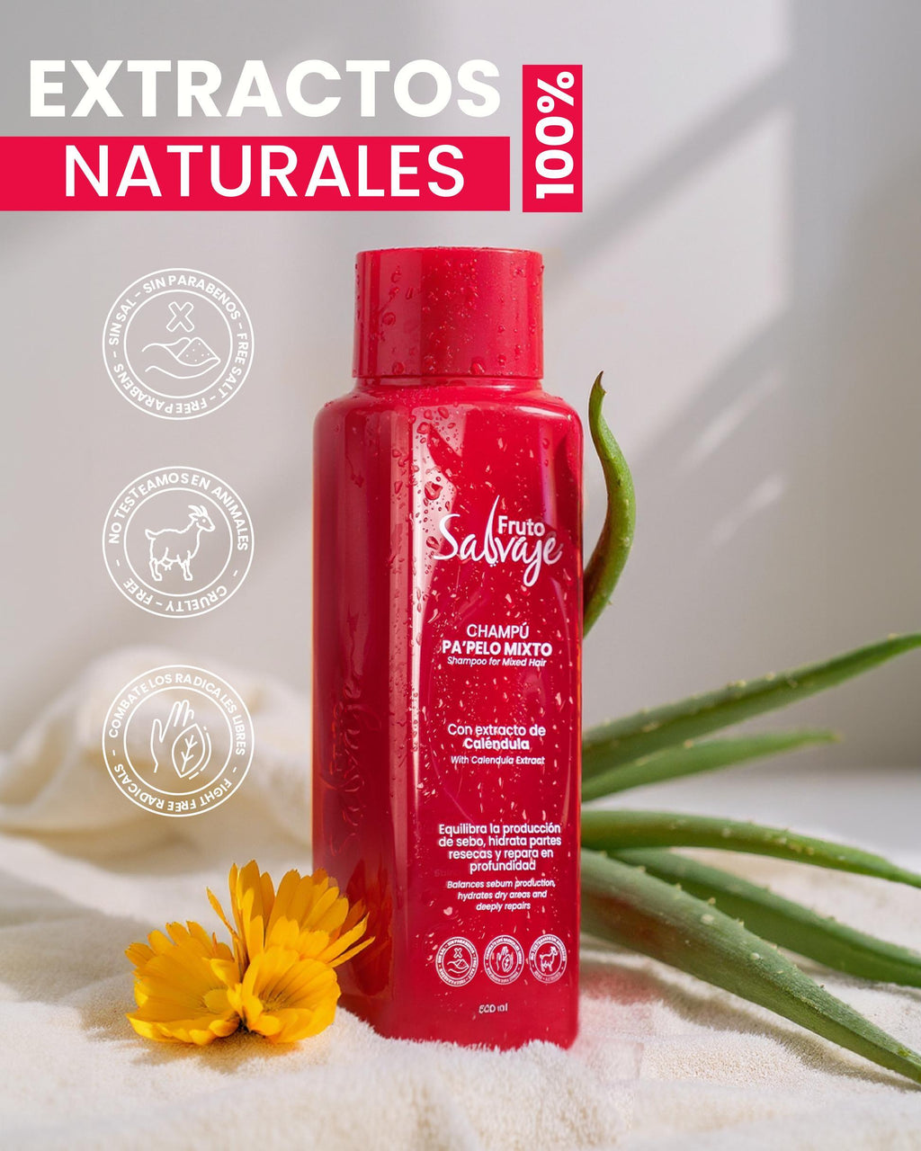 Shampoo Cabello Mixto Camelia Silvestre 500ml Fruto Salvaje