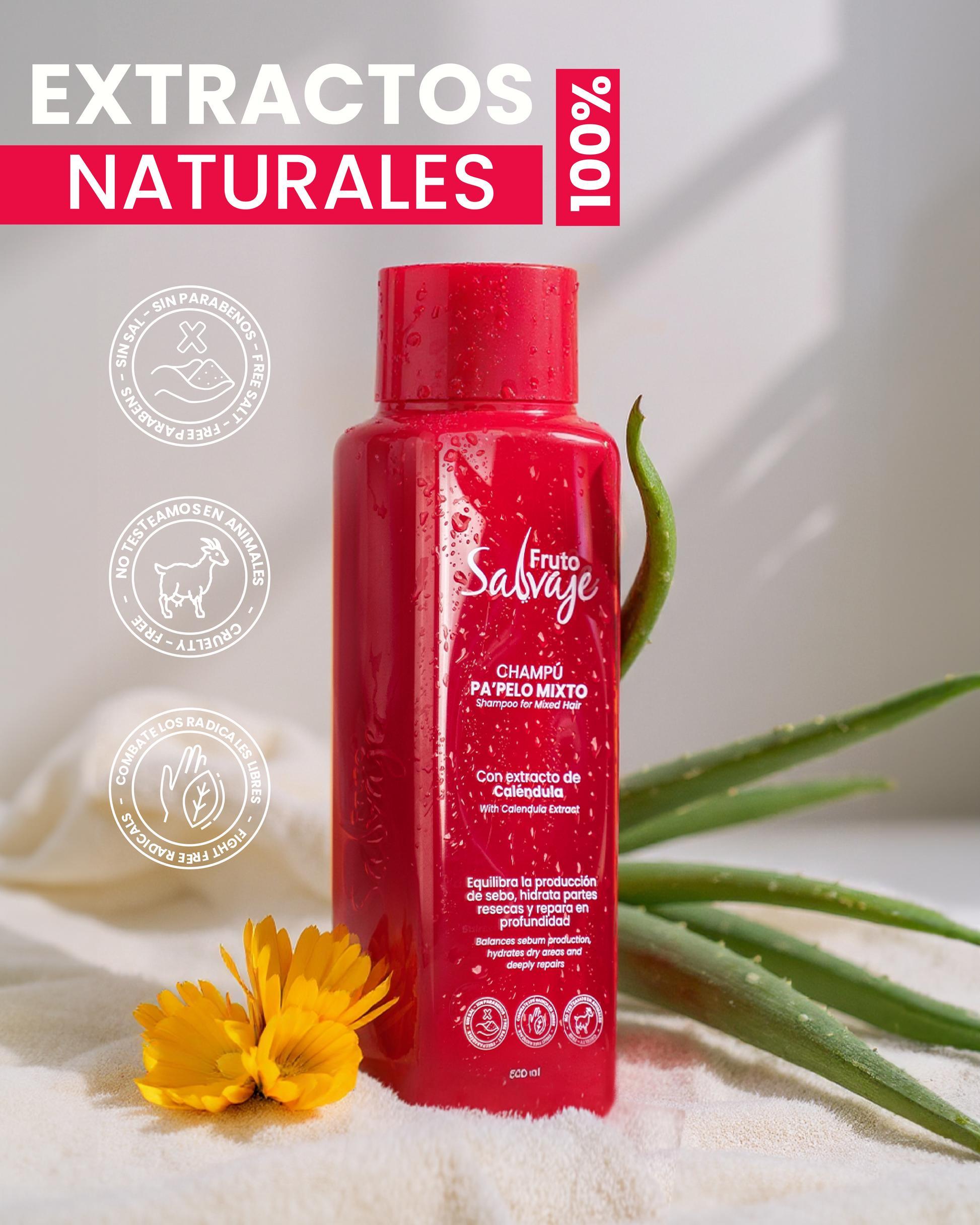 Shampoo Cabello Mixto Camelia Silvestre 500ml Fruto Salvaje